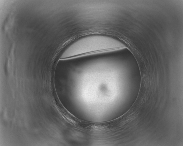 X0000057570442200509160840