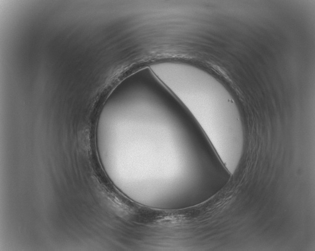 X0000057570447200509160841
