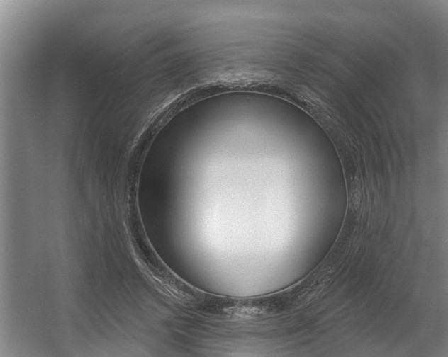 X0000057570448200509160841