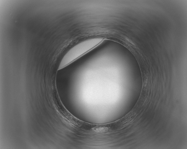 X0000057570452200509160841