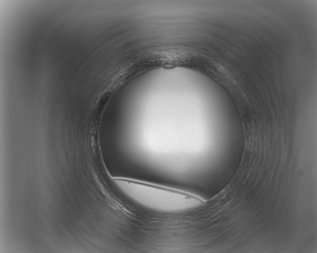 X0000057570456200509160841