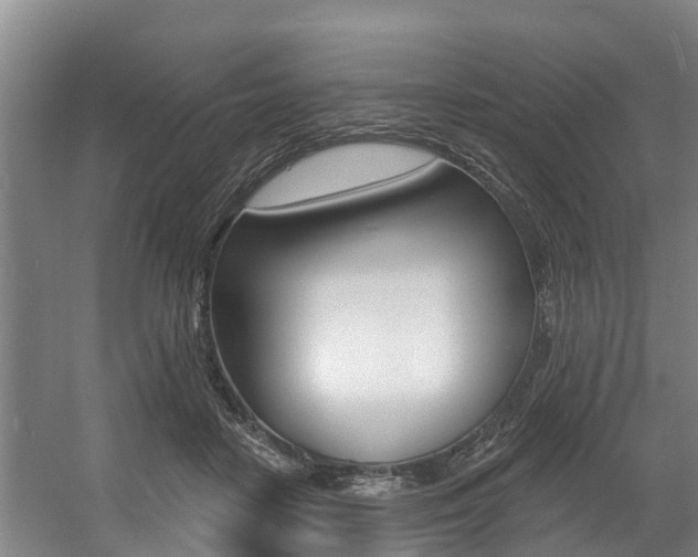X0000057570458200509160841