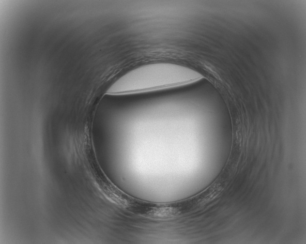 X0000057570459200509160841