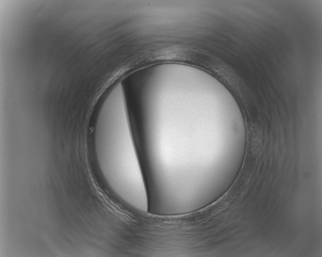 X0000057570482200509160840