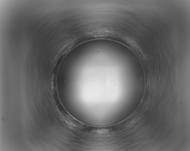 X0000057570501200509160840