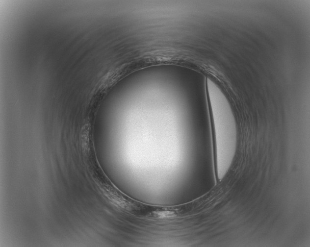 X0000057570509200509160840