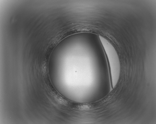 X0000057570513200509160840