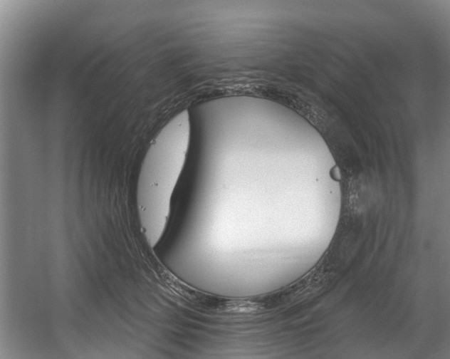 X0000057570514200509160840