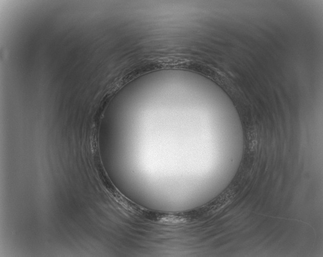 X0000057570515200509160840