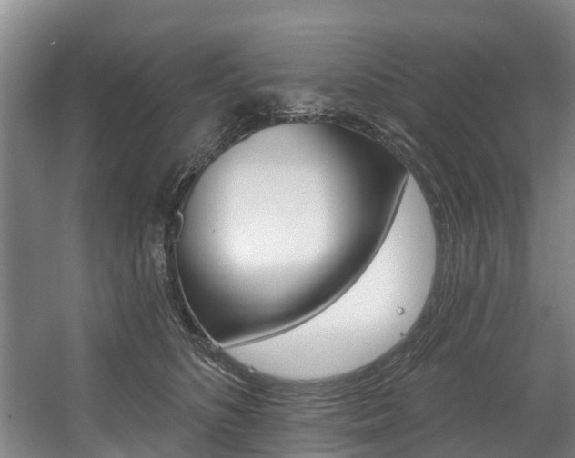 X0000057570516200509160840
