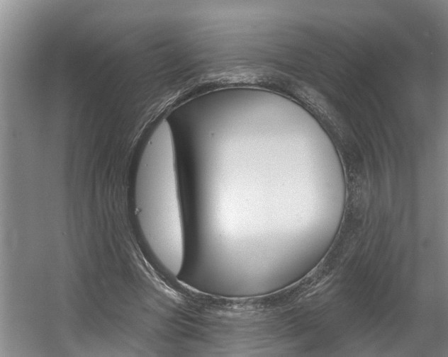 X0000057570537200509160839