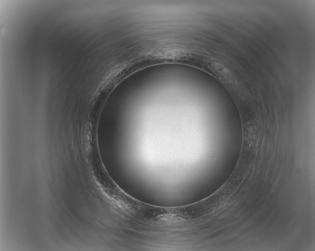 X0000057570544200509160839