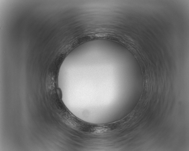 X0000057570555200509160839