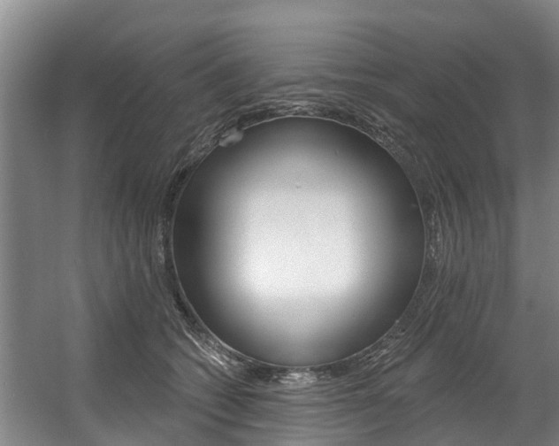 X0000057570562200509160839
