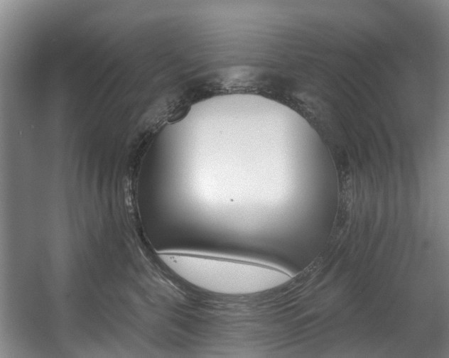 X0000057570571200509160839
