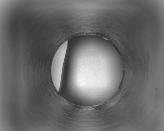 X0000057570576200509160839