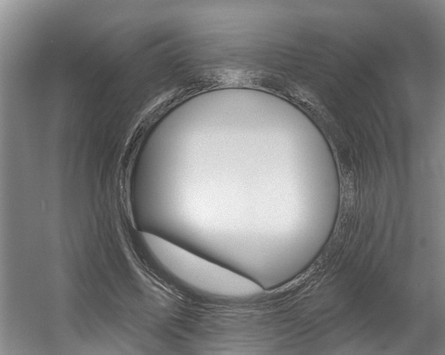 X0000057570587200509160838