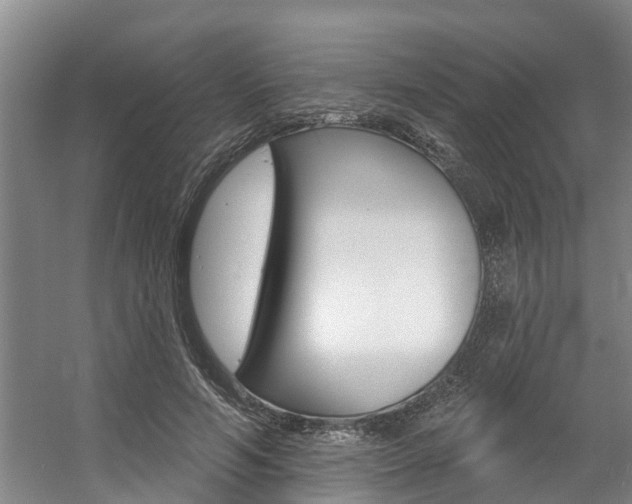 X0000057570594200509160838