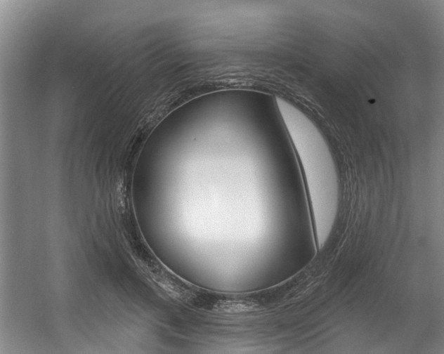 X0000057570597200509160838