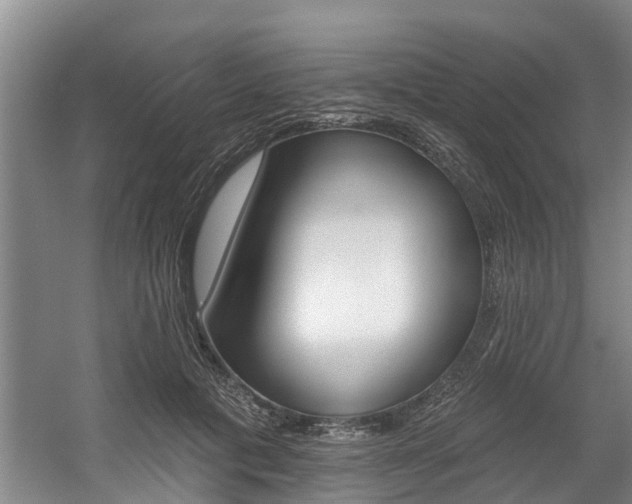 X0000057570601200509160838