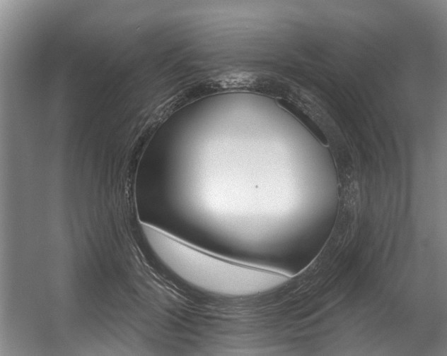 X0000057570604200509160838