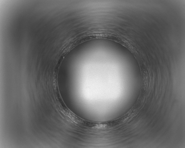 X0000057570609200509160838