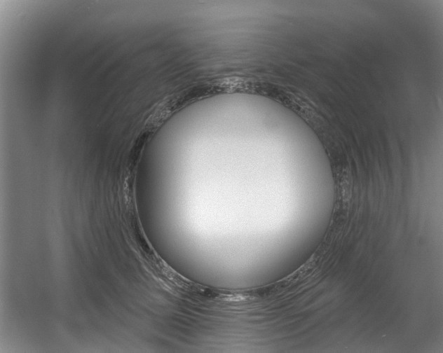 X0000057570611200509160838