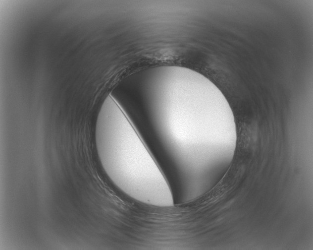 X0000057570612200509160838