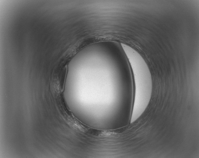 X0000057570617200509160838