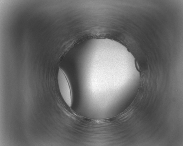 X0000057570623200509160838