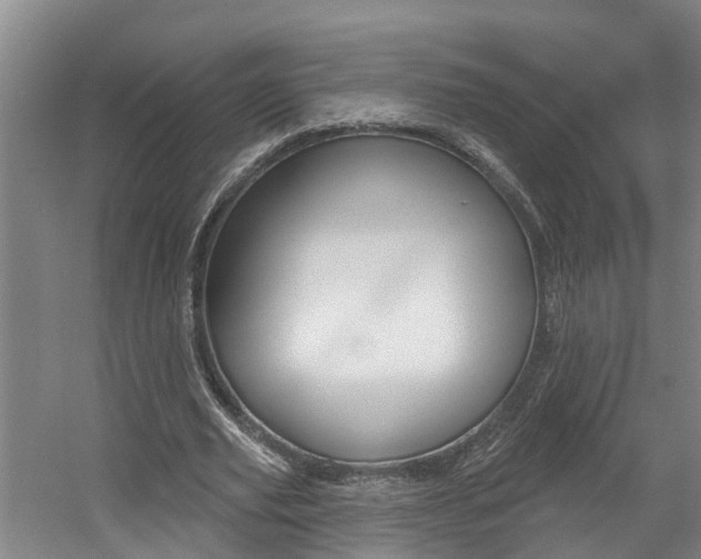 X0000057570629200509160837
