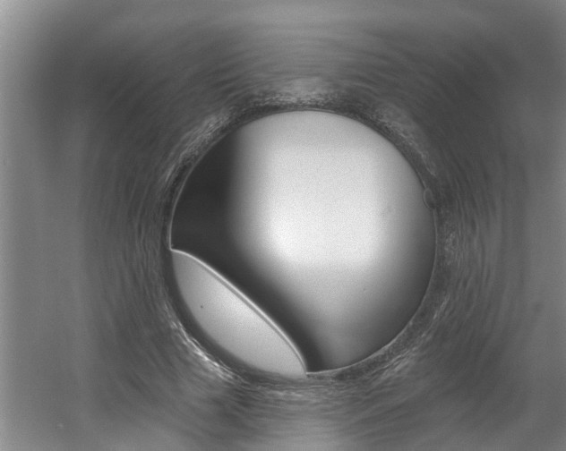 X0000057570633200509160837