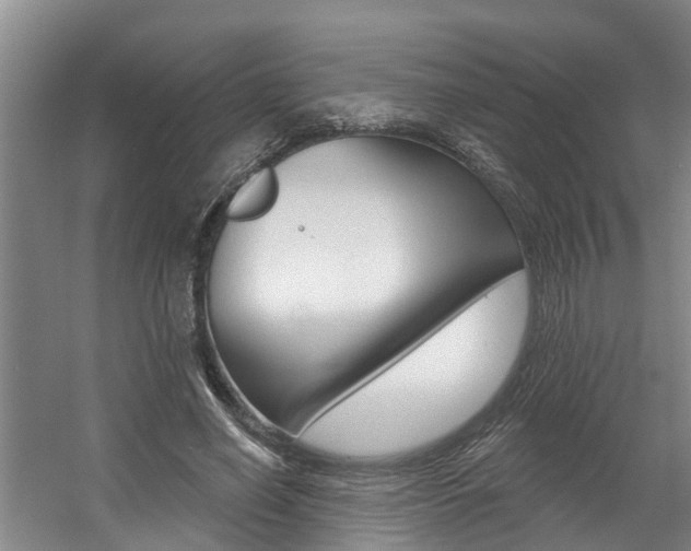 X0000057570638200509160837