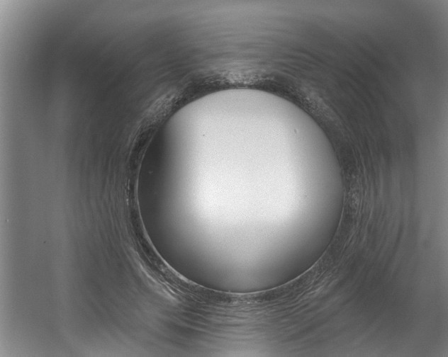 X0000057570639200509160837