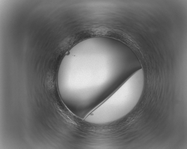 X0000057570641200509160837