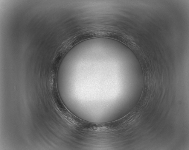 X0000057570645200509160837