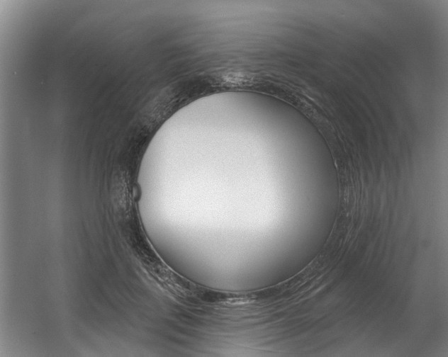 X0000057570651200509160837