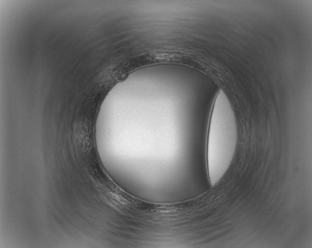 X0000057570653200509160837