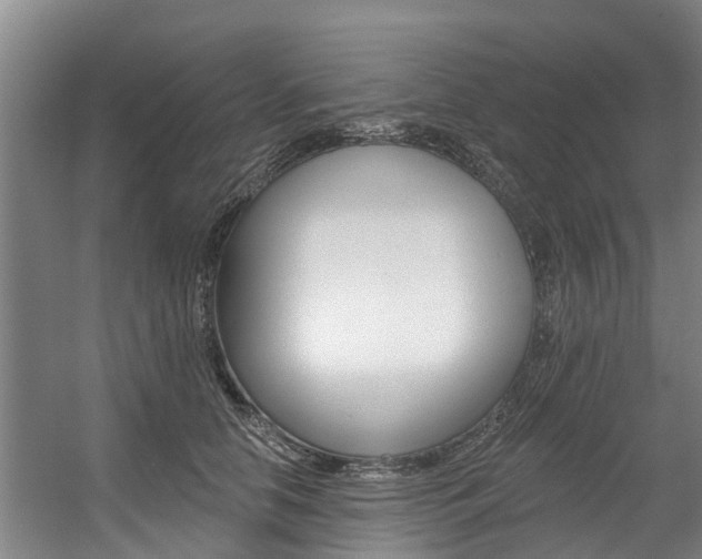 X0000057570658200509160838