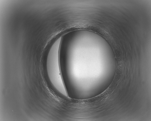 X0000057570688200509160837