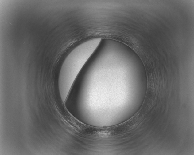 X0000057570692200509160837