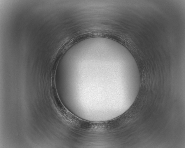 X0000057570694200509160837