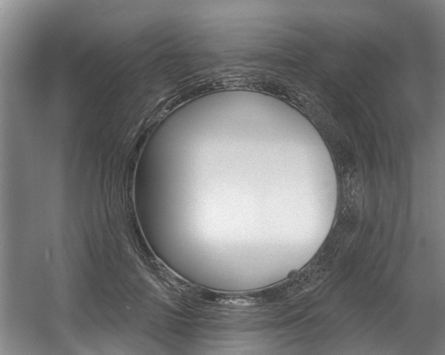 X0000057570698200509160837