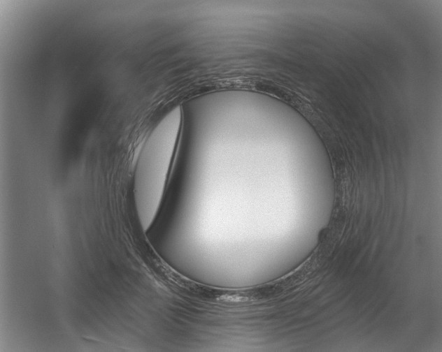 X0000057570699200509160837