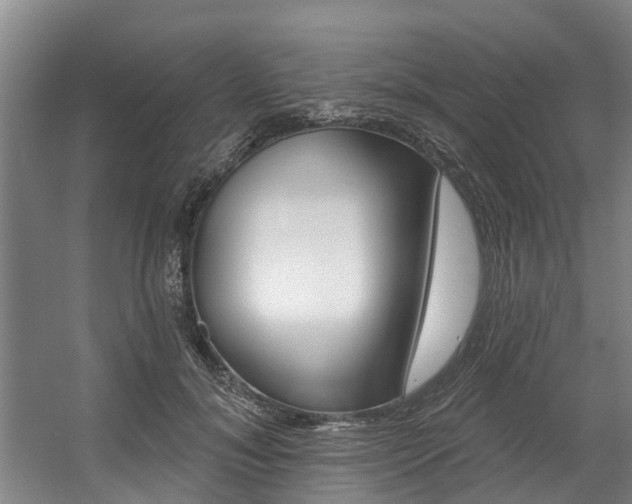 X0000057570700200509160837