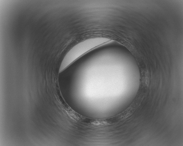 X0000057570712200509160836
