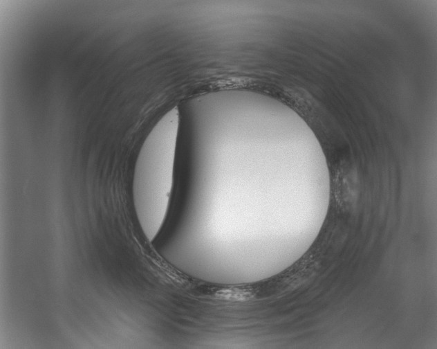 X0000057570714200509160836