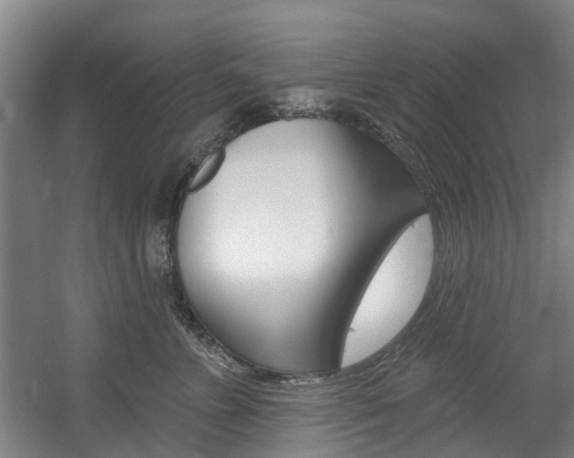 X0000057570715200509160836
