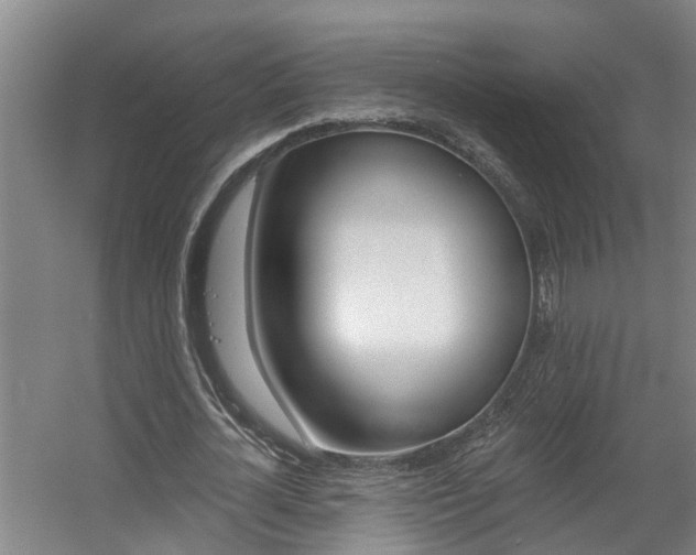 X0000057570724200509160835