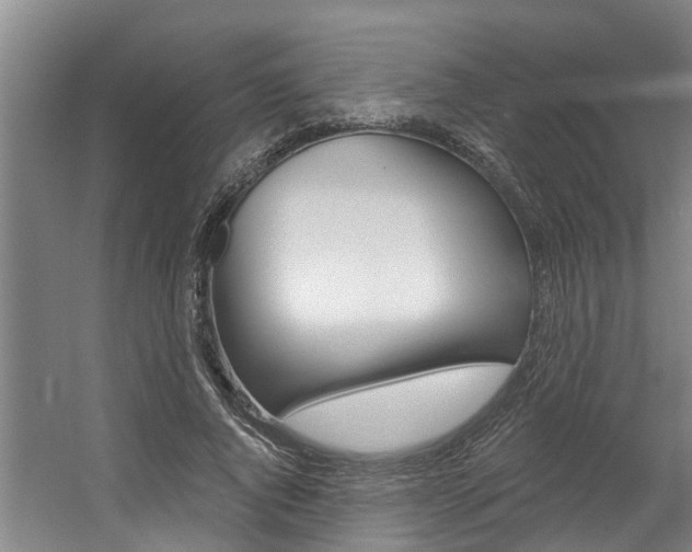 X0000057570736200509160836